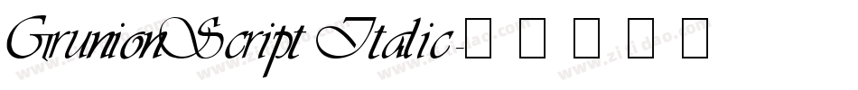 GrunionScript Italic字体转换